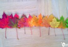 10 идей для осеннего настроения