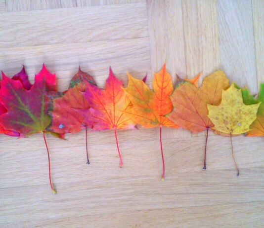 10 идей для осеннего настроения