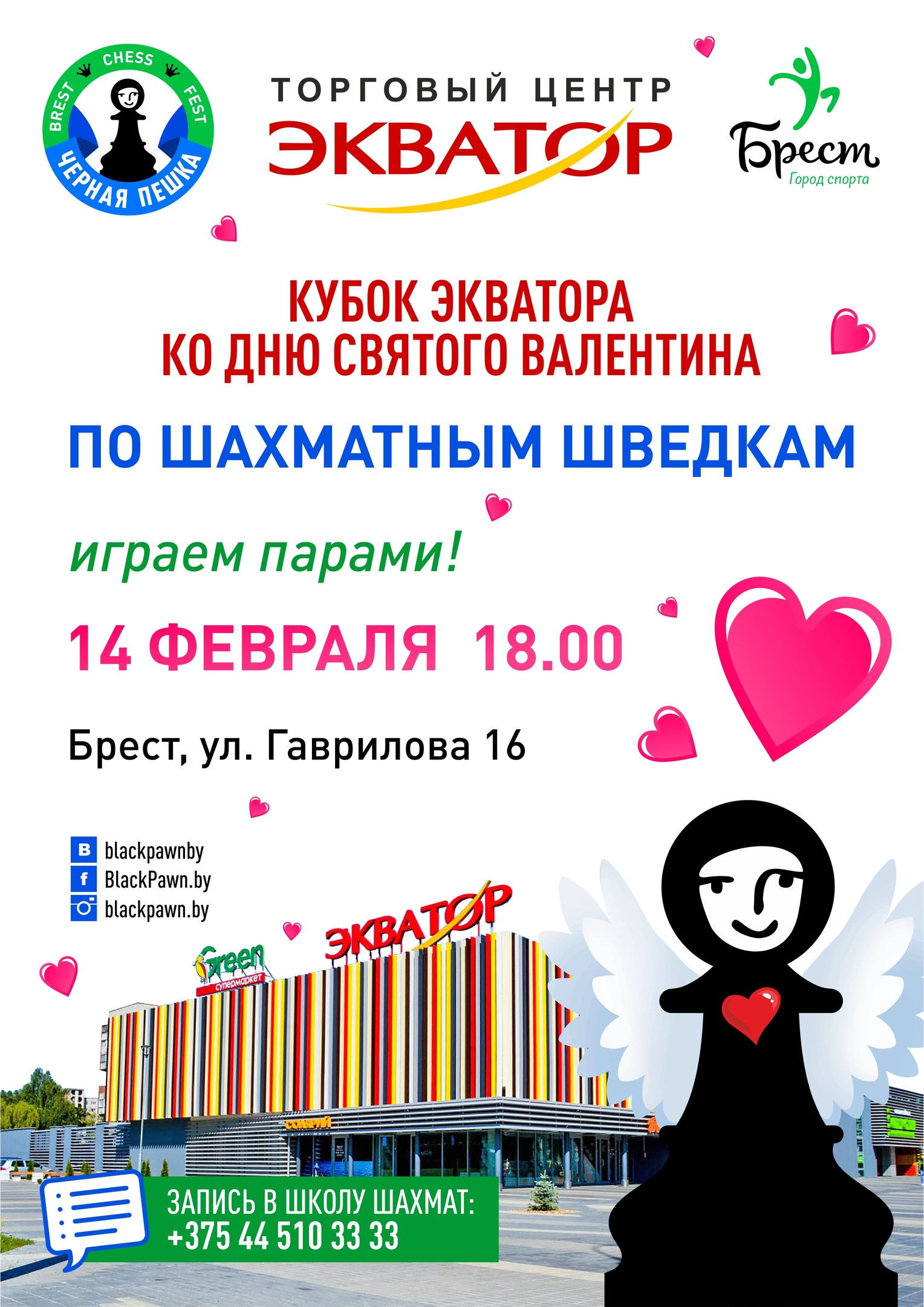 Брест, шахматы