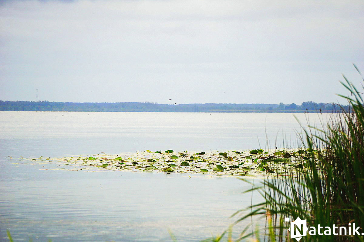 Черное озеро