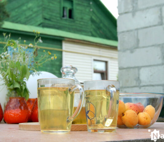 Экология меняет жизнь: питание Экология питание