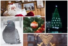 Natatnik-2018: что перечитать