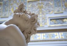 «Моим розовым очкам было суждено разбиться о жестокий асфальт реальности»: студент из Бреста об обучении в Питере