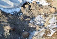 Кости 1000 человек к 1000-летию Бреста. Что делать? Кости евреев, прибужский квартал, расстрел евреев, гетто, брестское гетто