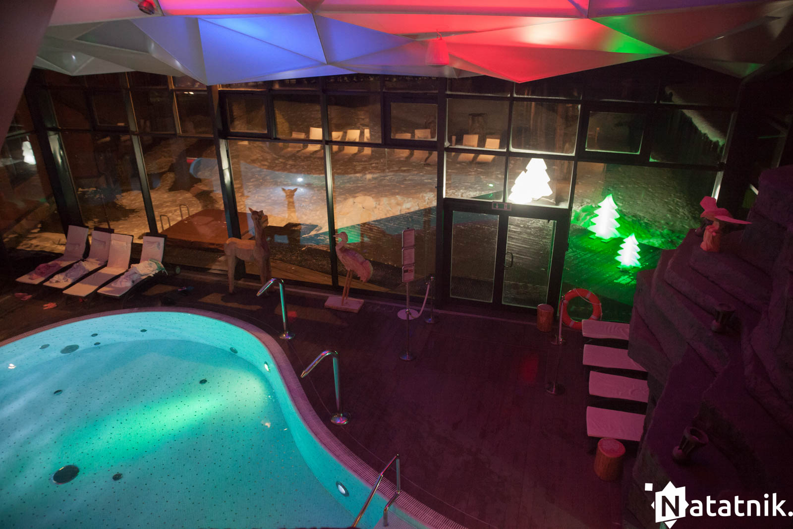 Беловежа, беловежская пуща, отель Зубровка, bialowieza