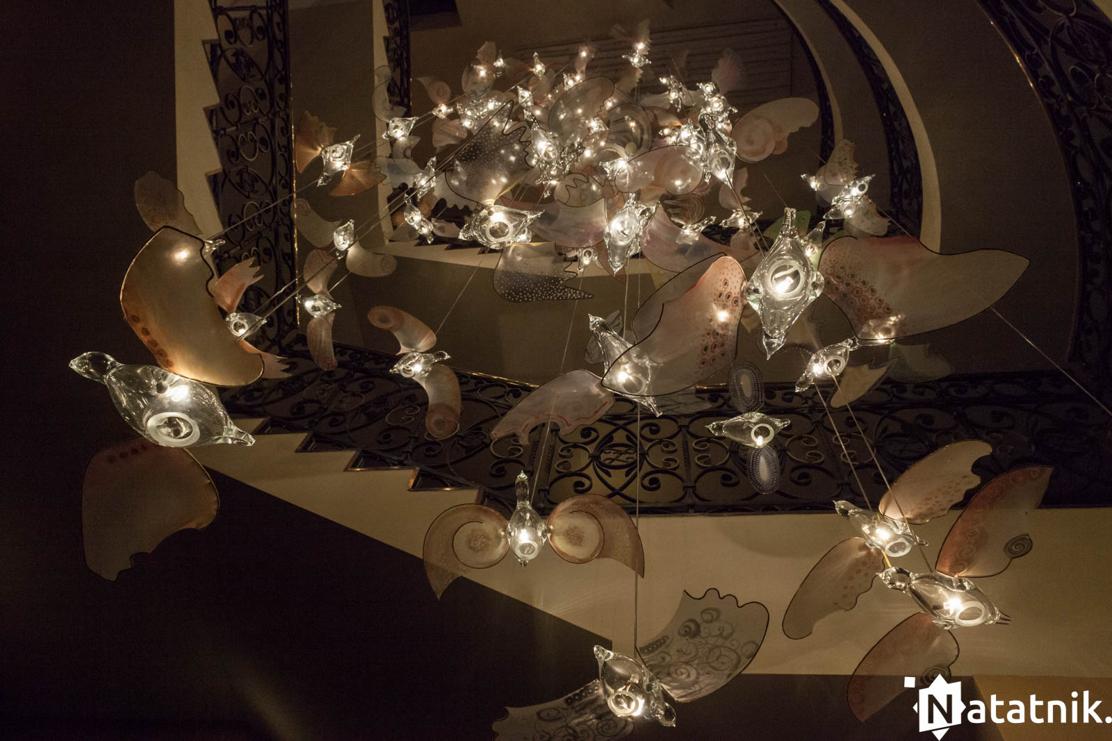 Беловежа, беловежская пуща, отель Зубровка, bialowieza