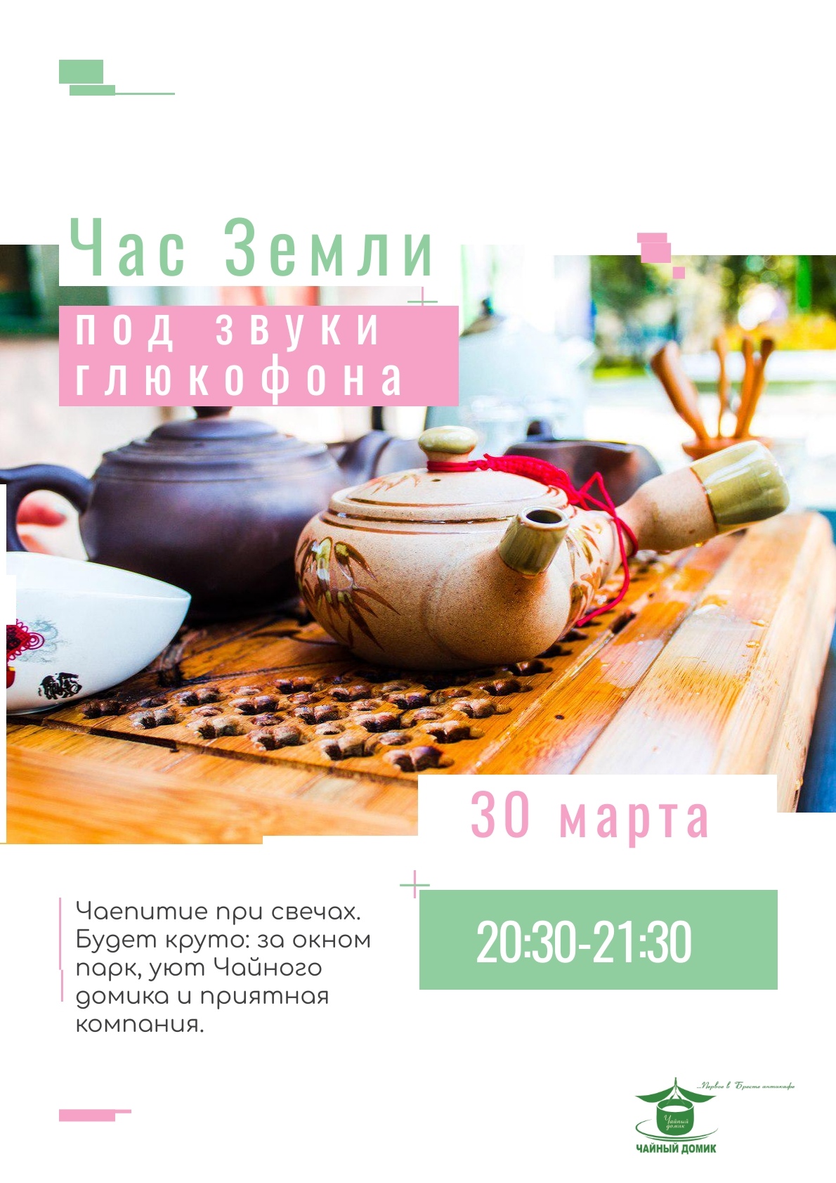 Брест, акция, Час Земли