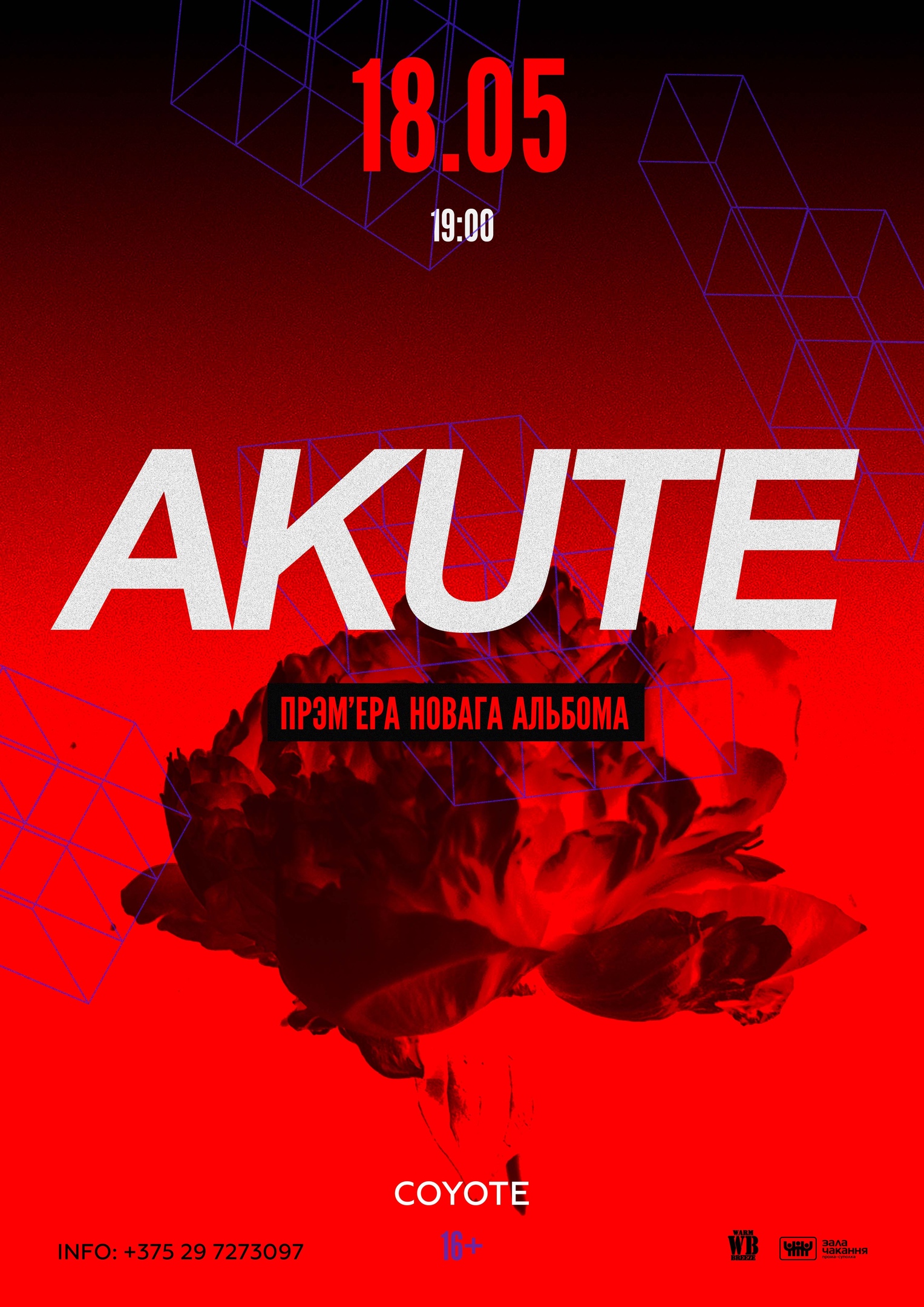 Брест, концерт, Akute