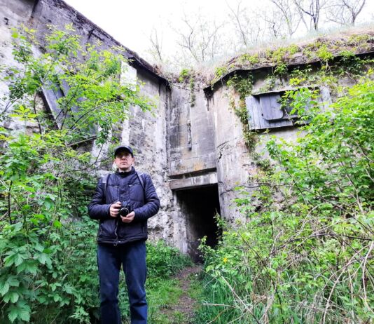 Как в Бресте спасают летучих мышей от вандалов Барбастелла