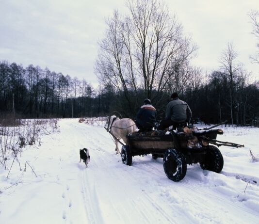 «Нету указателя на нашу деревню! Как это так?»: Как живут в умирающих деревнях Кобринского района Жуки