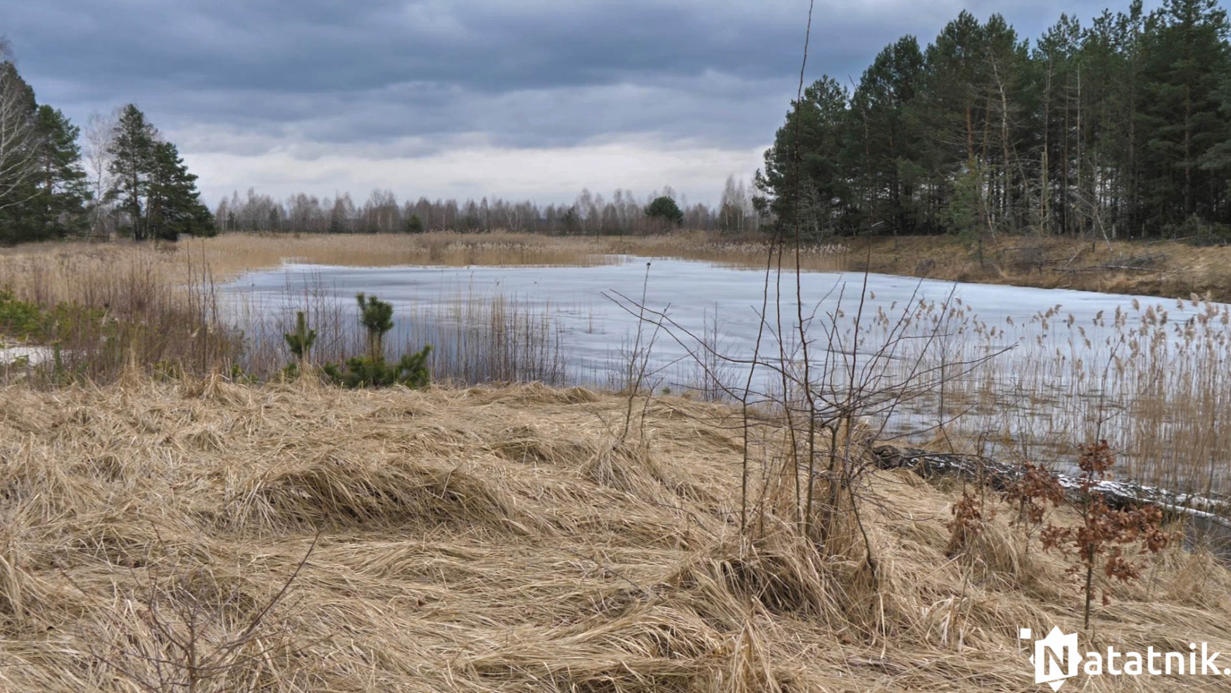 Заброшенный лагерь Берёзка