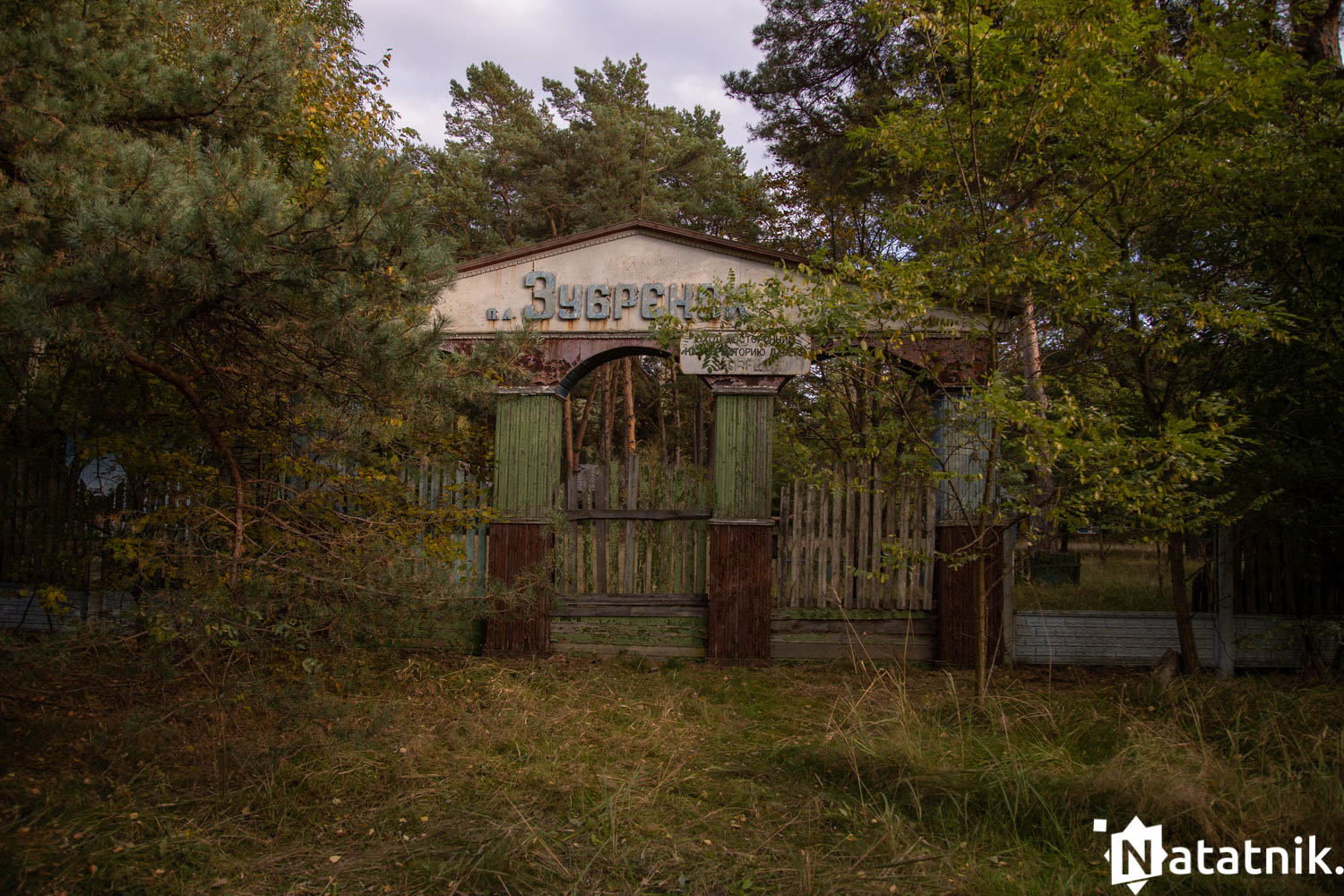 Зубрёнок, Домачево