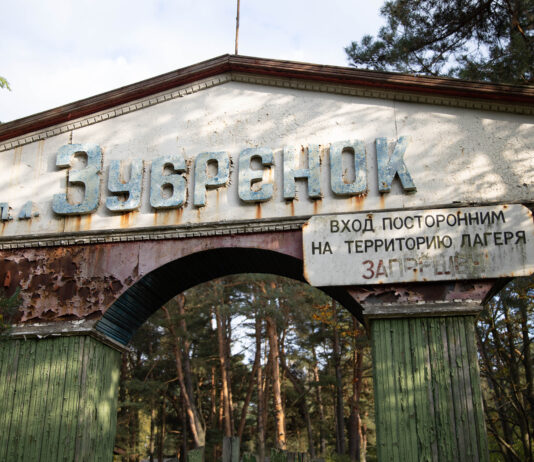 Его оставили «Оборзевшие зайцы», но заняли белки: исследуем заброшенный детский лагерь в Домачево