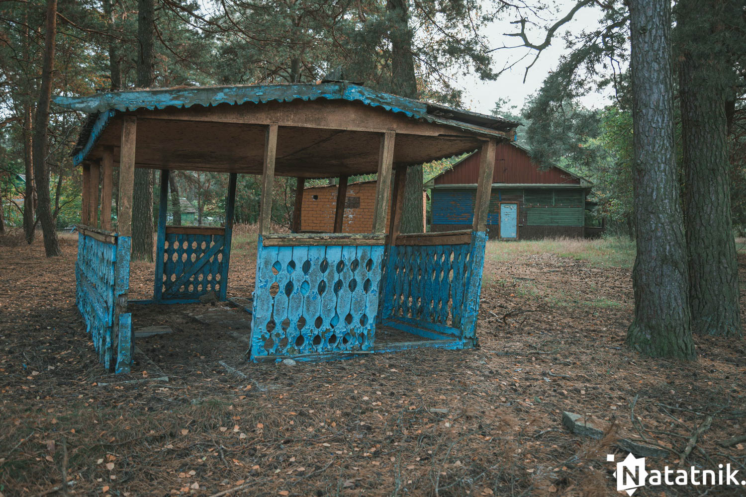 Зубрёнок, Домачево