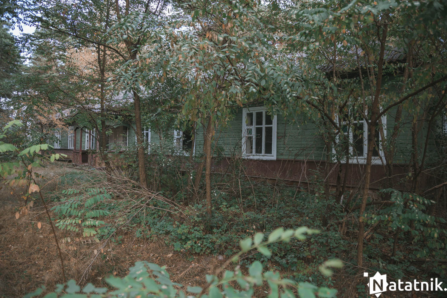 Зубрёнок, Домачево