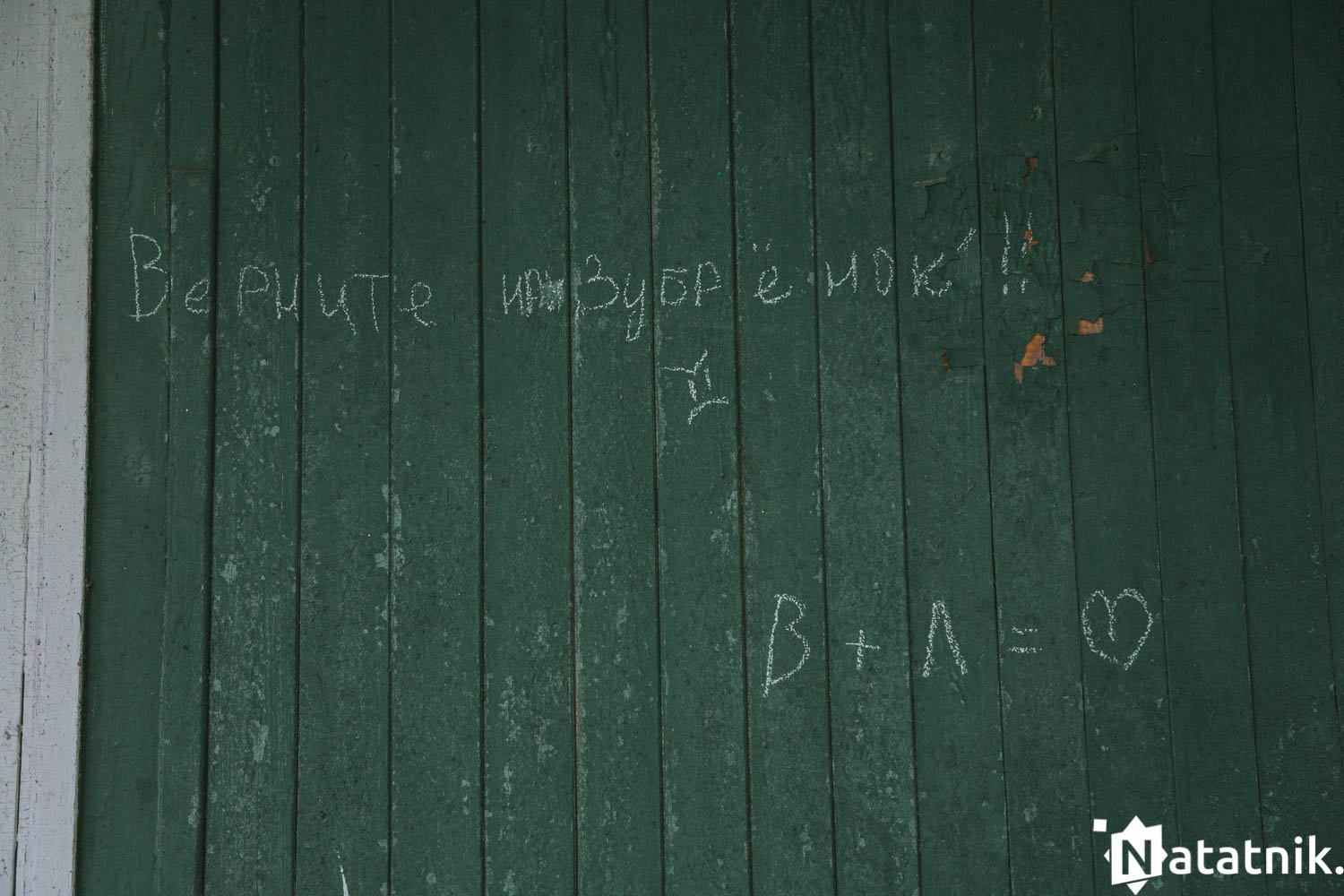 Зубрёнок, Домачево