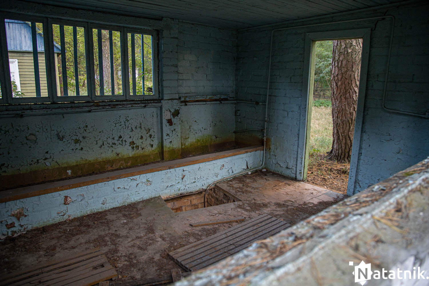 Зубрёнок, Домачево