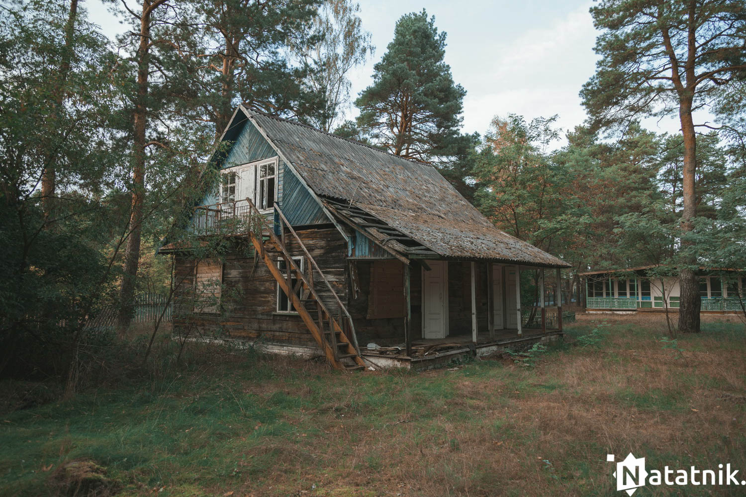 Зубрёнок, Домачево