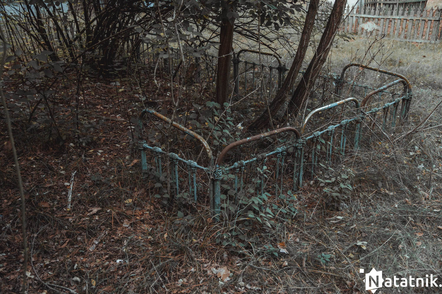 Зубрёнок, Домачево