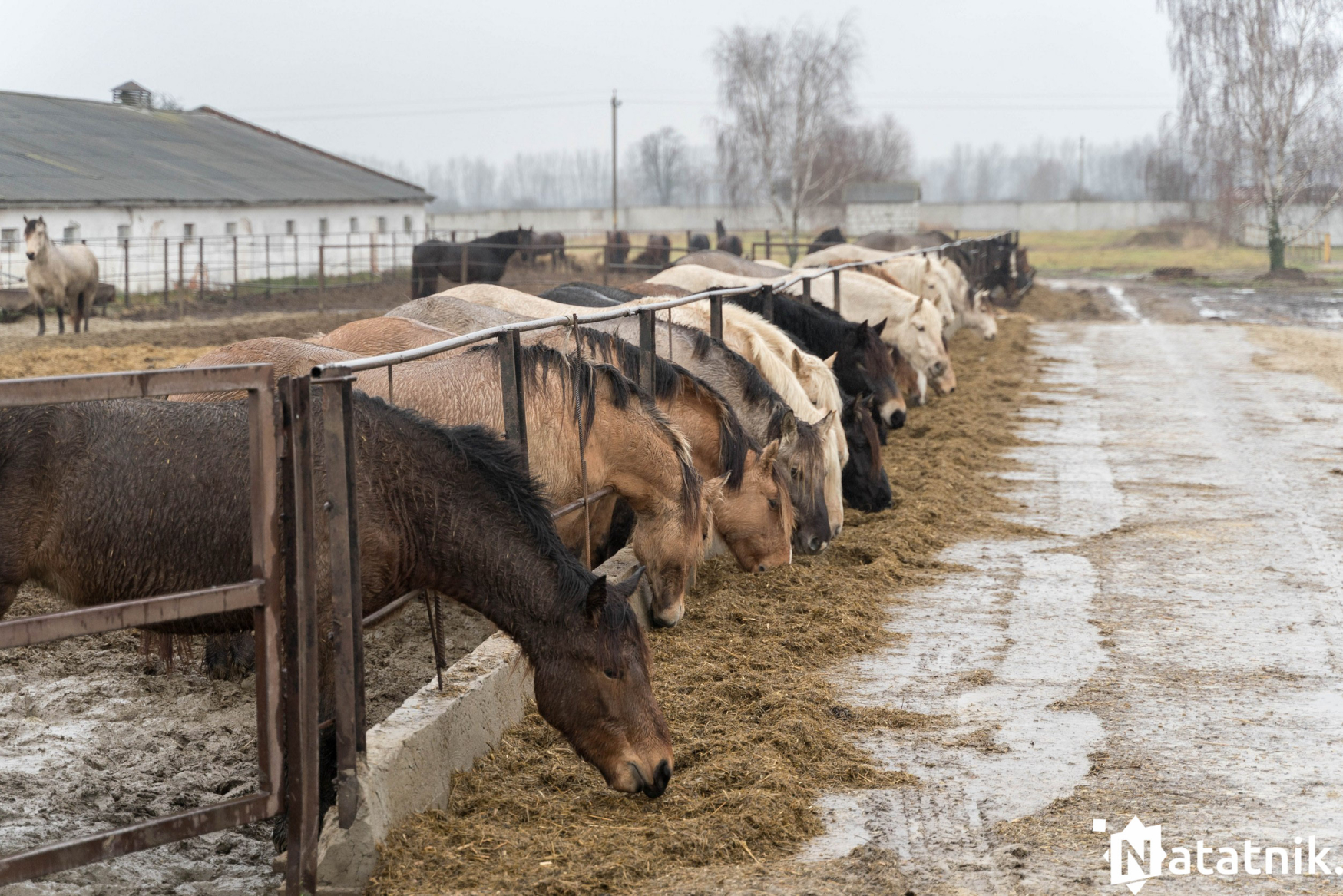 Если я уйду, сколько это всё протянет?