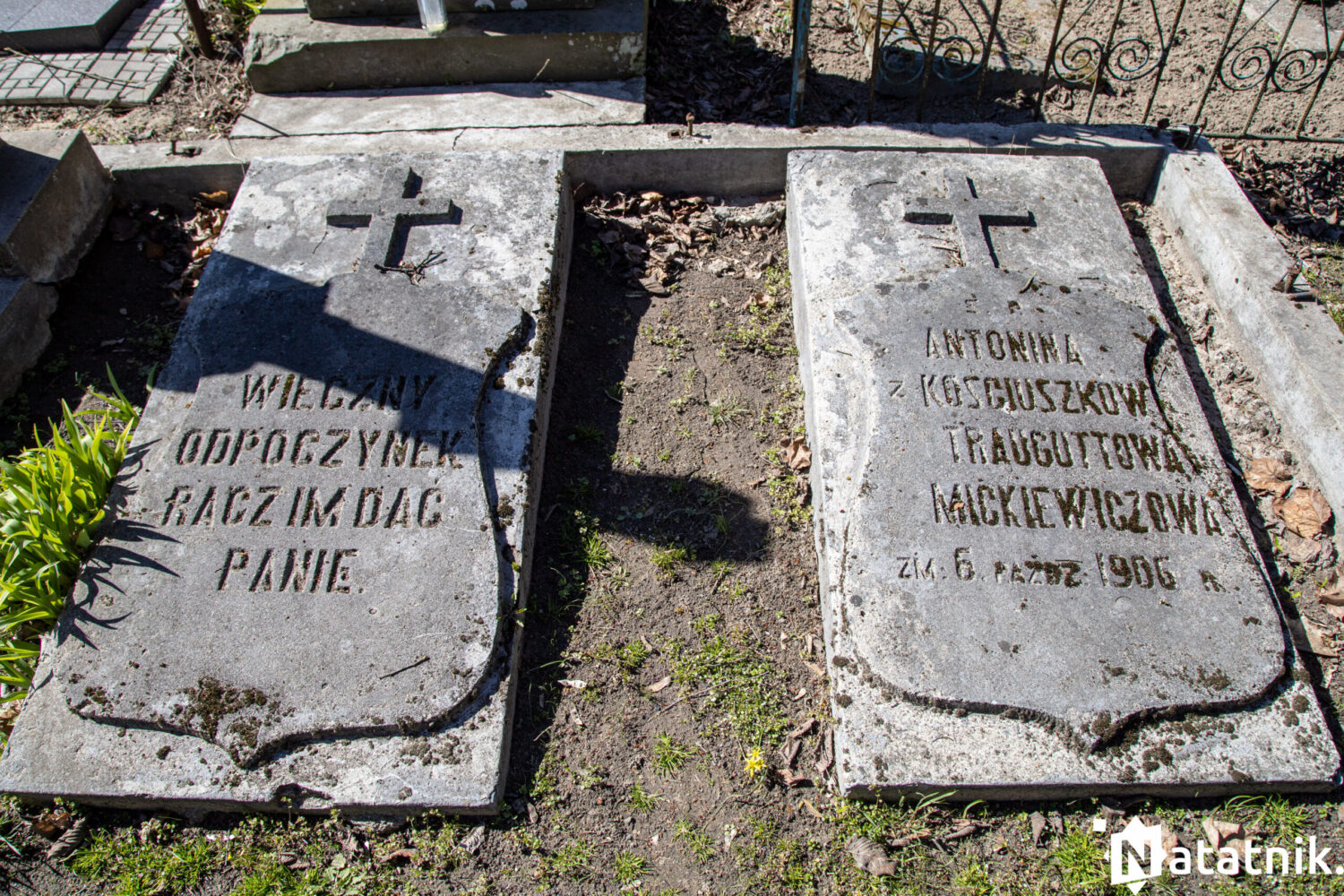 Кобрин, Костюшко, Кобрын, Касцюшка