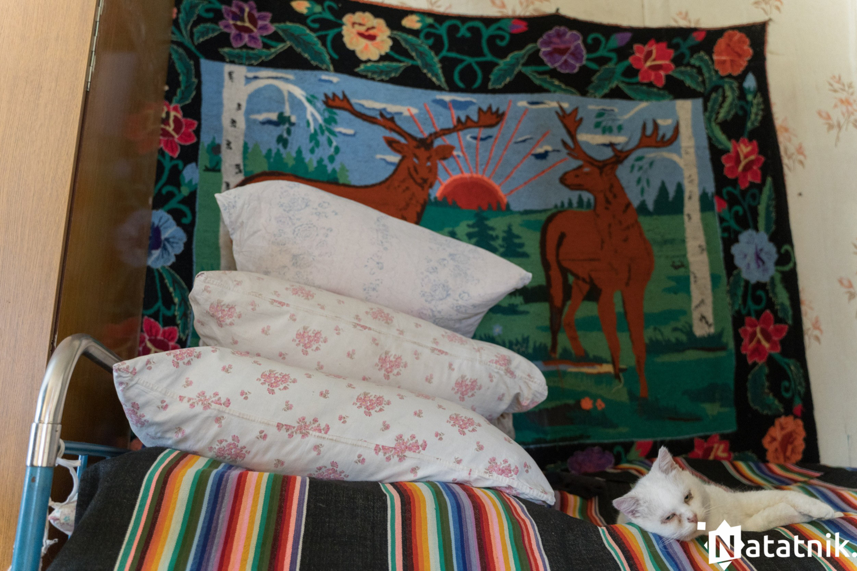 Христиболовичи