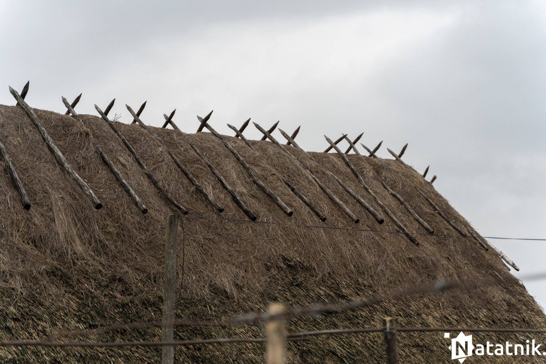 Христиболовичи