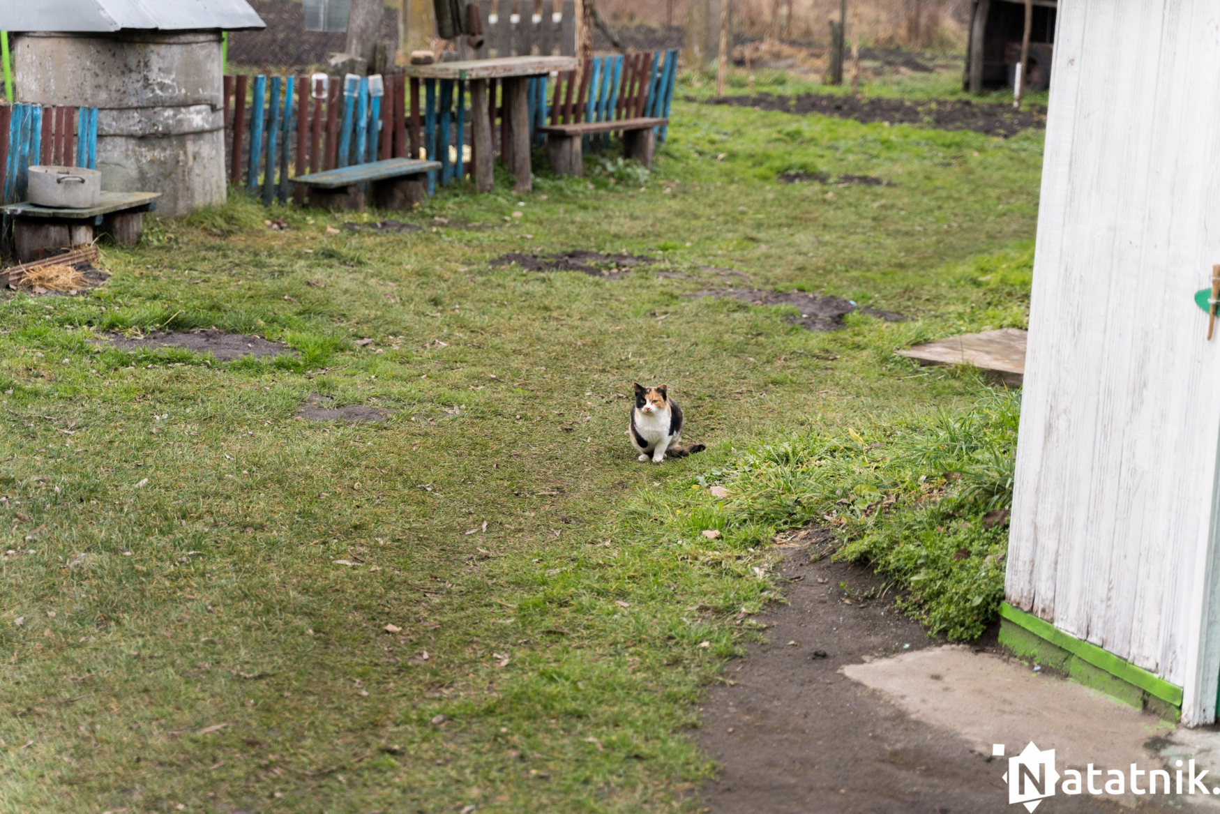 Христиболовичи
