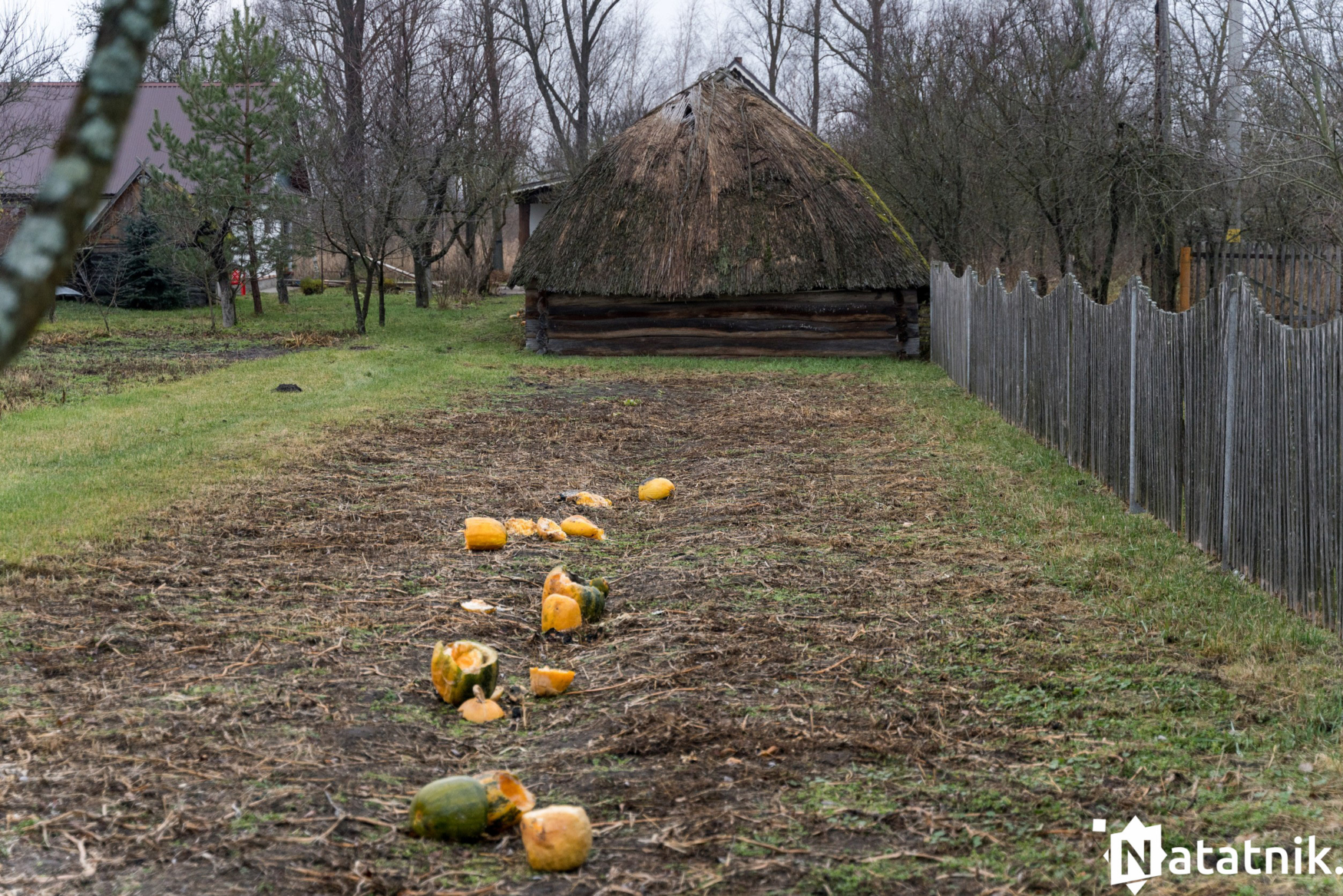 Христиболовичи