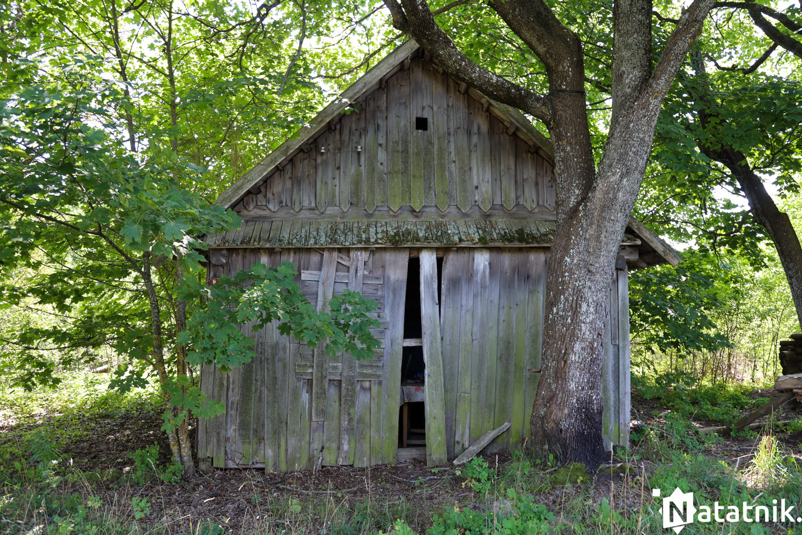 Вёска Наўгольнае