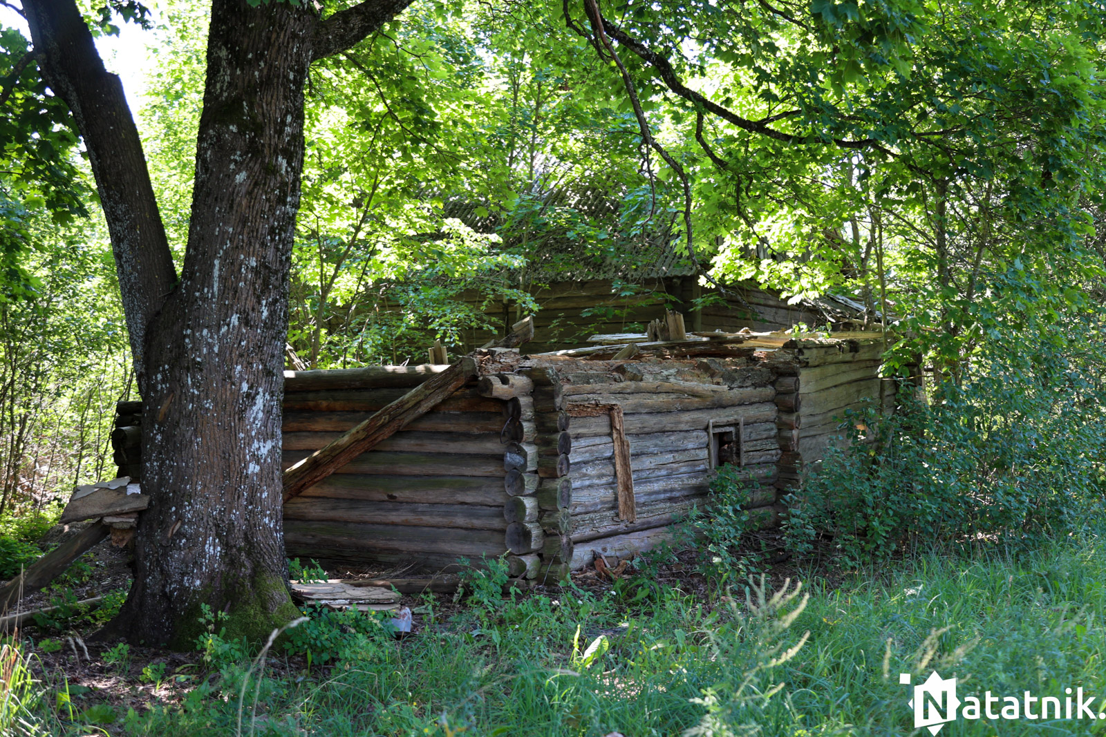 Вёска Наўгольнае