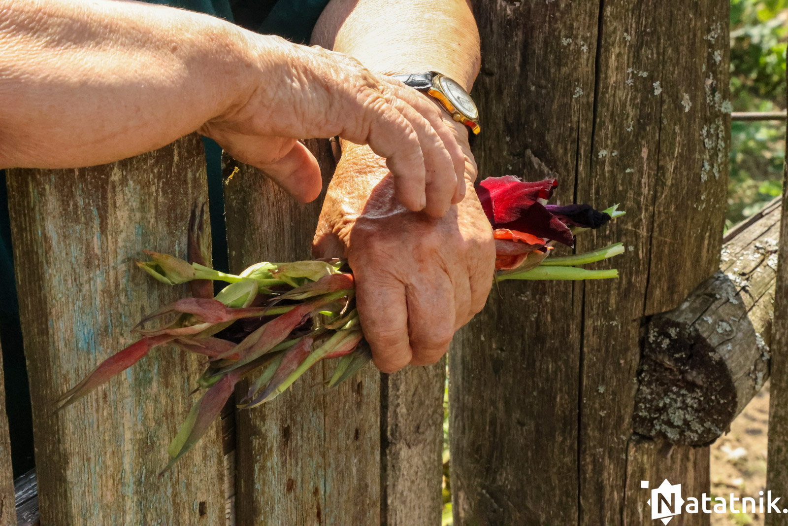 вёска Наўгольнае