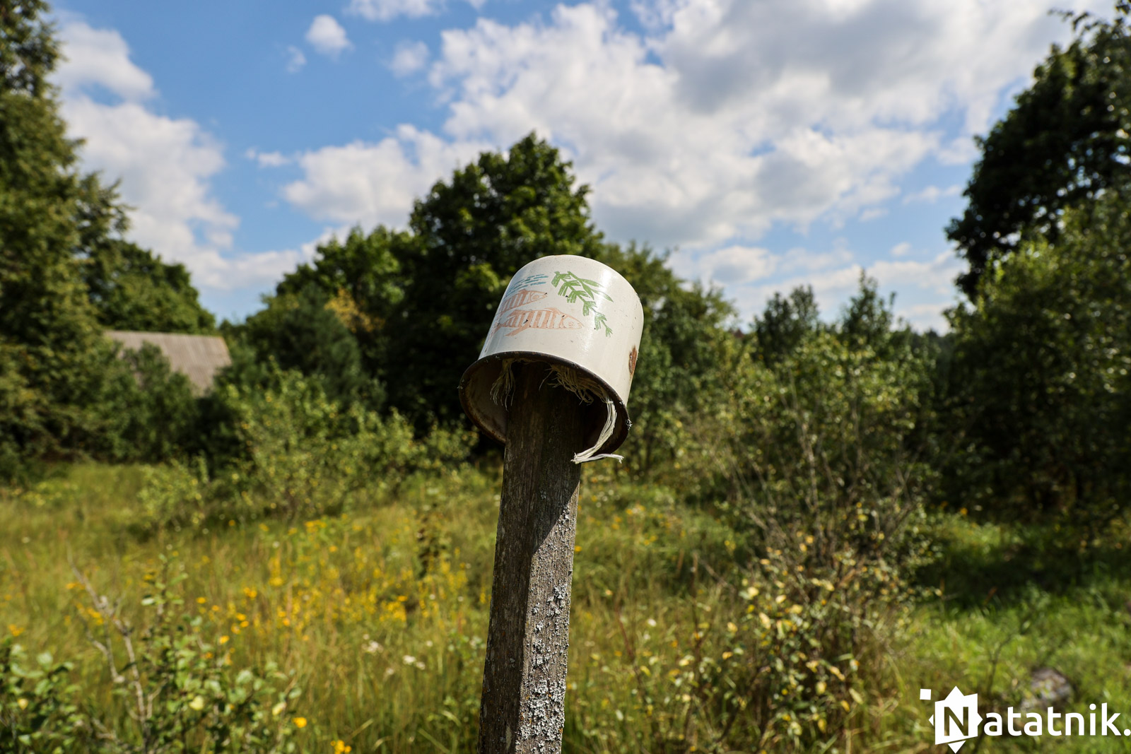 вёска Наўгольнае