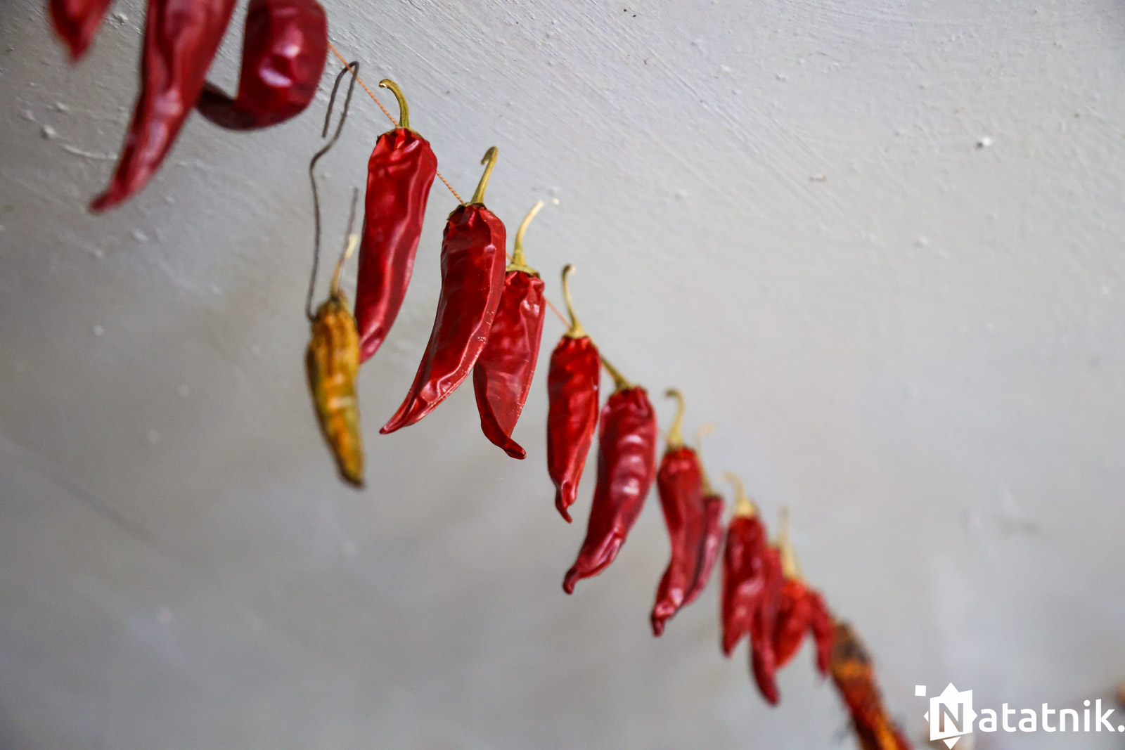 вёска Наўгольнае